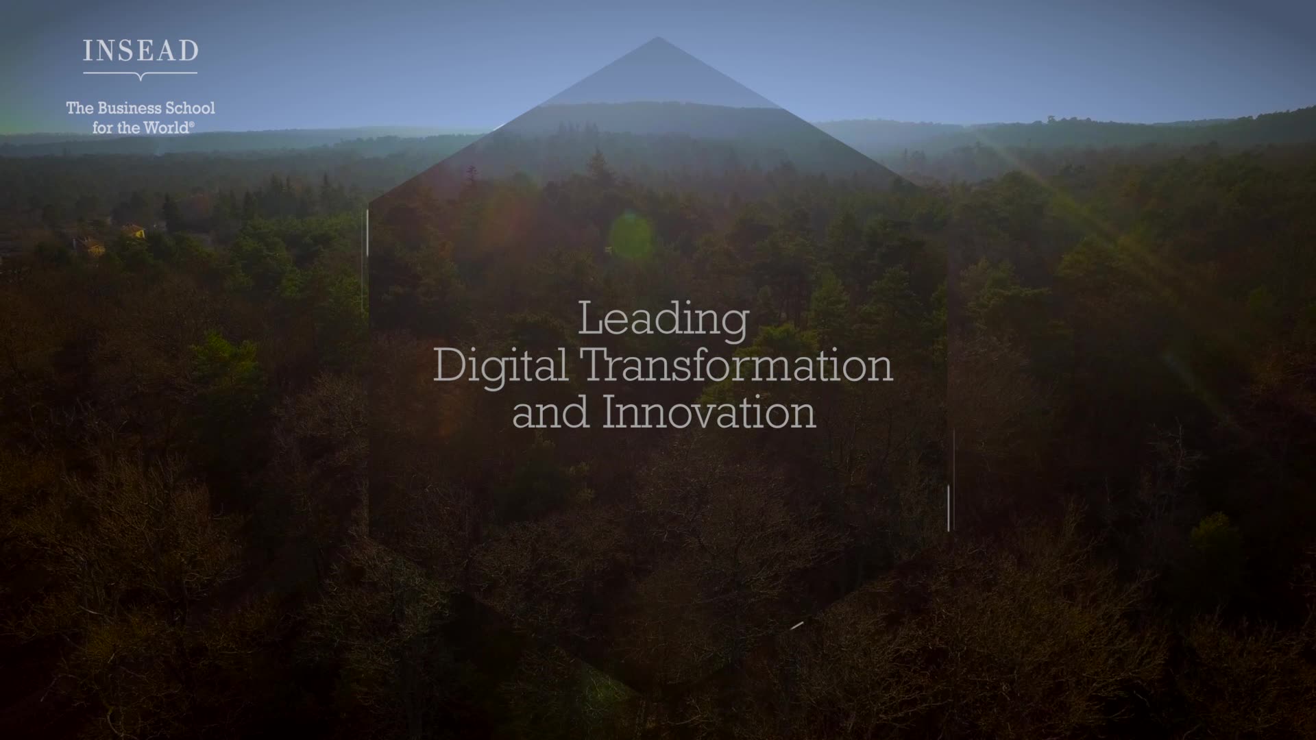 INSEAD LTI Leading digital transformation and innovation
